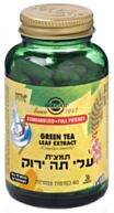 תמצית תקנית עלי תה ירוק Green Tea Sfp | סולגאר 