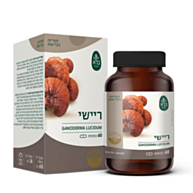 כמוסות ריישי Ganoderma lucidum | ברא צמחים